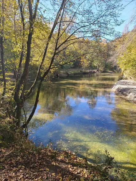 VIDEO Projekat „Prirodnim merama za ekološki Gradac“